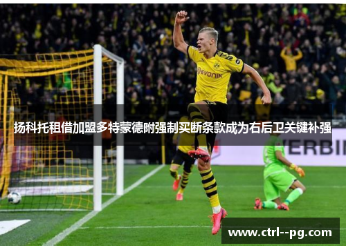扬科托租借加盟多特蒙德附强制买断条款成为右后卫关键补强 扬科托租借加盟多特蒙德附强制买断条款成为右后卫关键补强