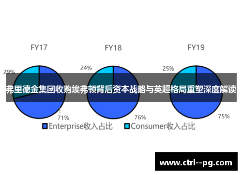 弗里德金集团收购埃弗顿背后资本战略与英超格局重塑深度解读 弗里德金集团收购埃弗顿背后资本战略与英超格局重塑深度解读